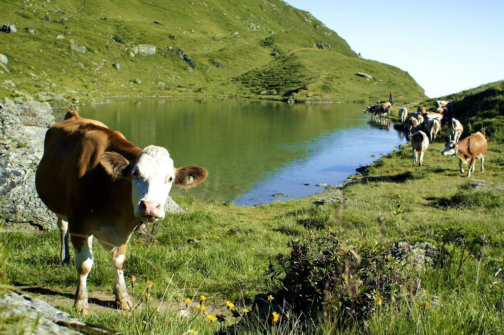 Hotel Wechselberger Saalbach-Hinterglemm Ngoại thất bức ảnh