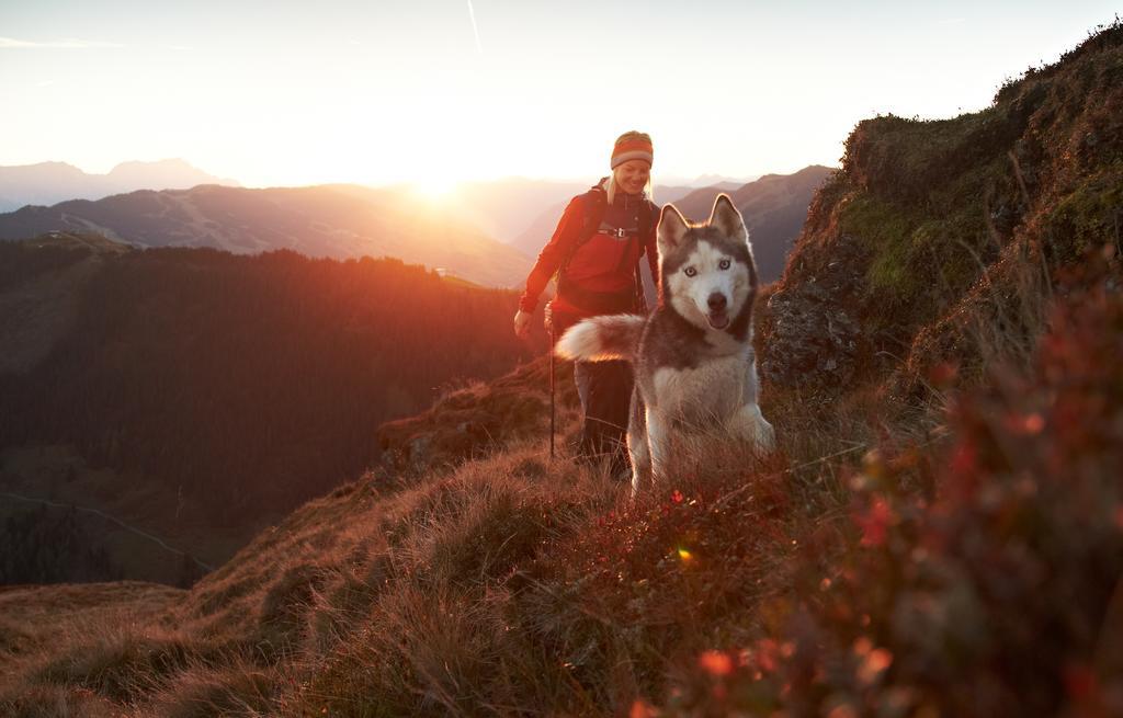 Hotel Wechselberger Saalbach-Hinterglemm Ngoại thất bức ảnh