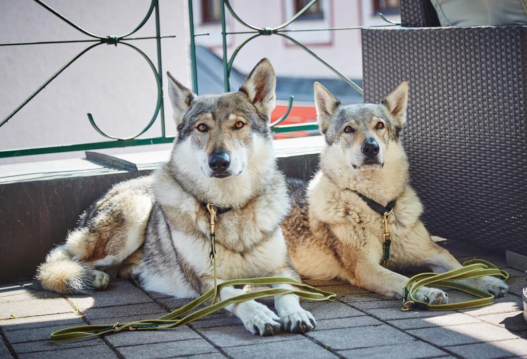 Hotel Wechselberger Saalbach-Hinterglemm Phòng bức ảnh